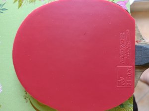 IMG_20260509_090734.jpg