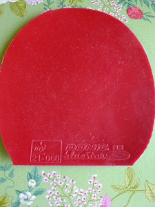 IMG_20260509_090656.jpg