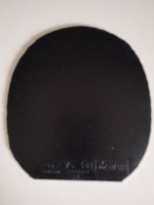 IMG20251221110403.jpg