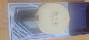 IMG_20260606_213502902.jpg