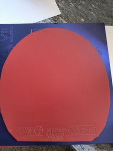 IMG_20260623_113935162.jpg