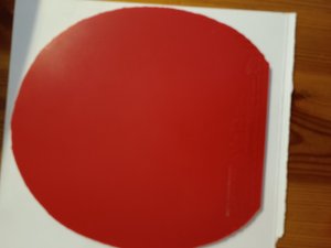 IMG_20260626_093341.jpg