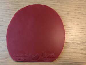 PXL_20260721_070642628.jpg