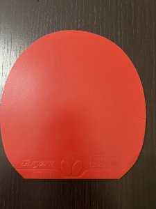 IMG_5026.jpeg