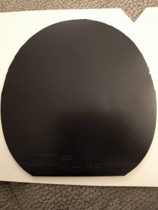 IMG_20260925_004733778.jpg