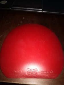 IMG_20260927_102921.jpg