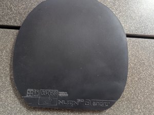 PXL_20261002_140756426.jpg