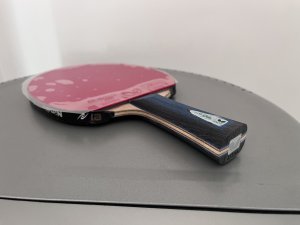 IMG_5231.jpeg