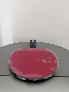 IMG_5230.jpeg